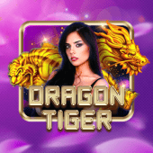 abc8c6 Dragon Tiger live casino game